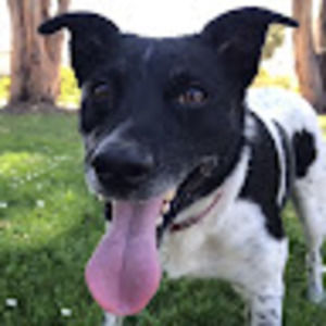 Meet your Posher, Mindy